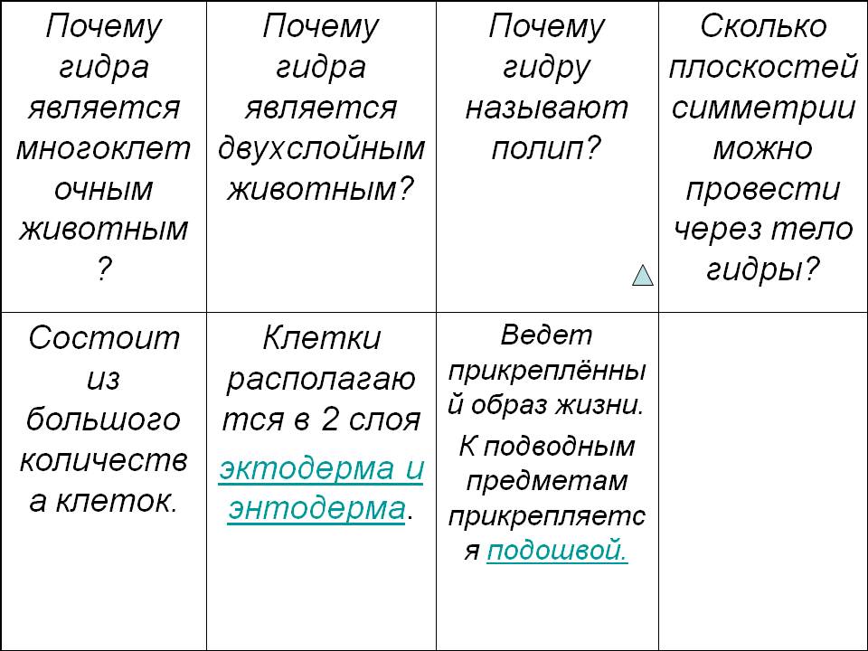 Кракен даркнет что известно