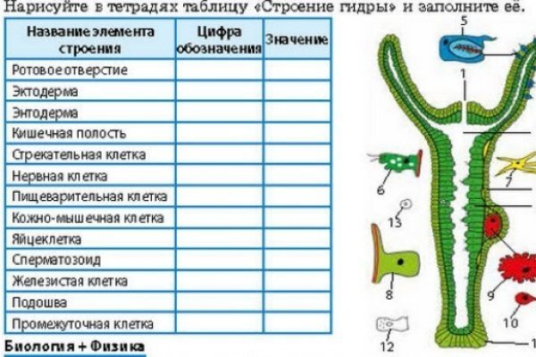 Пользователь не найден на кракене