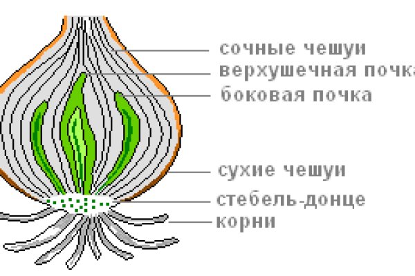 Kraken 16 at ссылка